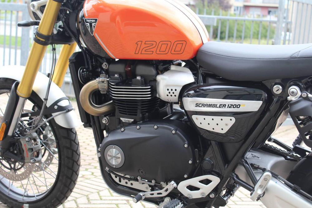 Triumph Scrambler 1200 XE (2024 - 25) (10)