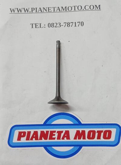 120041062 VALVOLA ASPIRAZIONE ZX900 Kawasaki