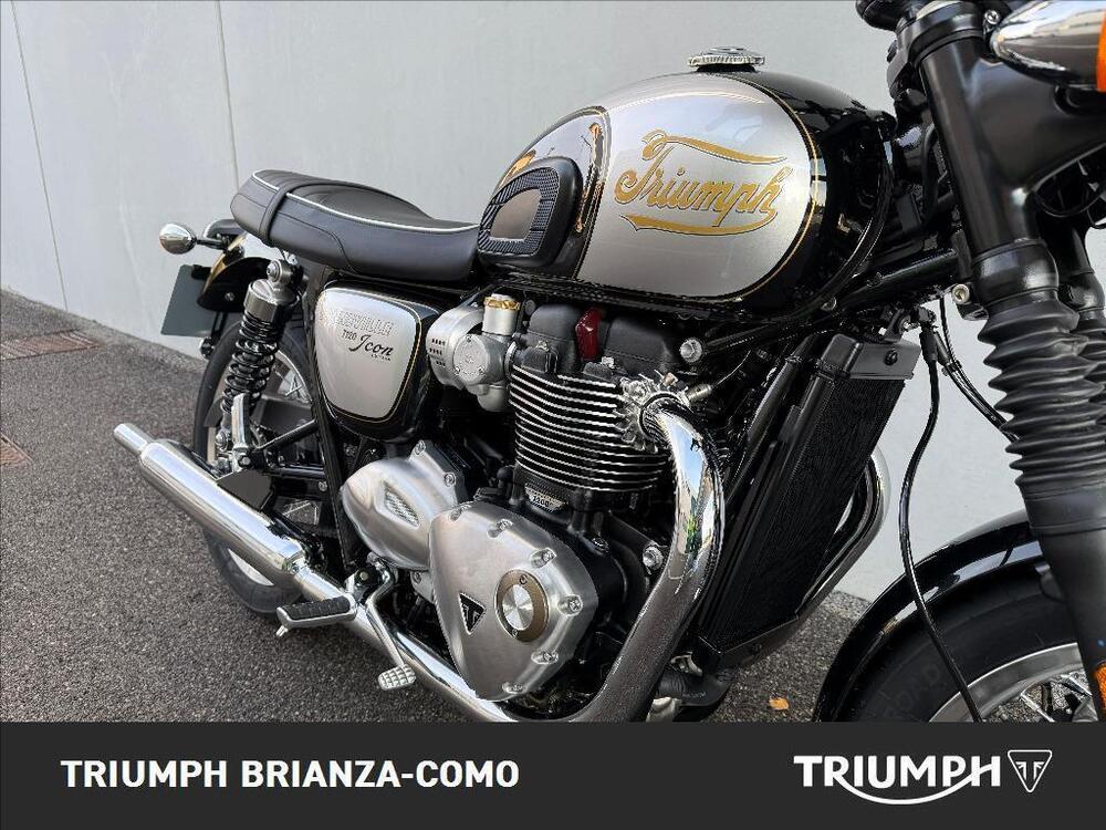 Triumph Bonneville T120 Icon Edition (2025) (5)