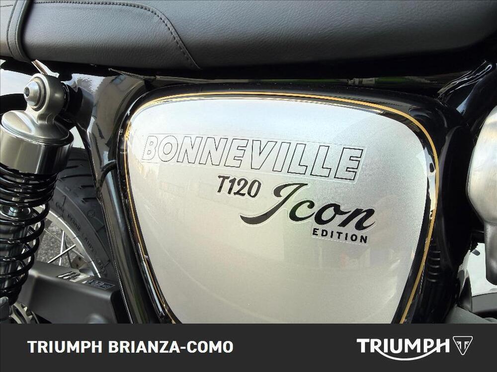 Triumph Bonneville T120 Icon Edition (2025) (6)