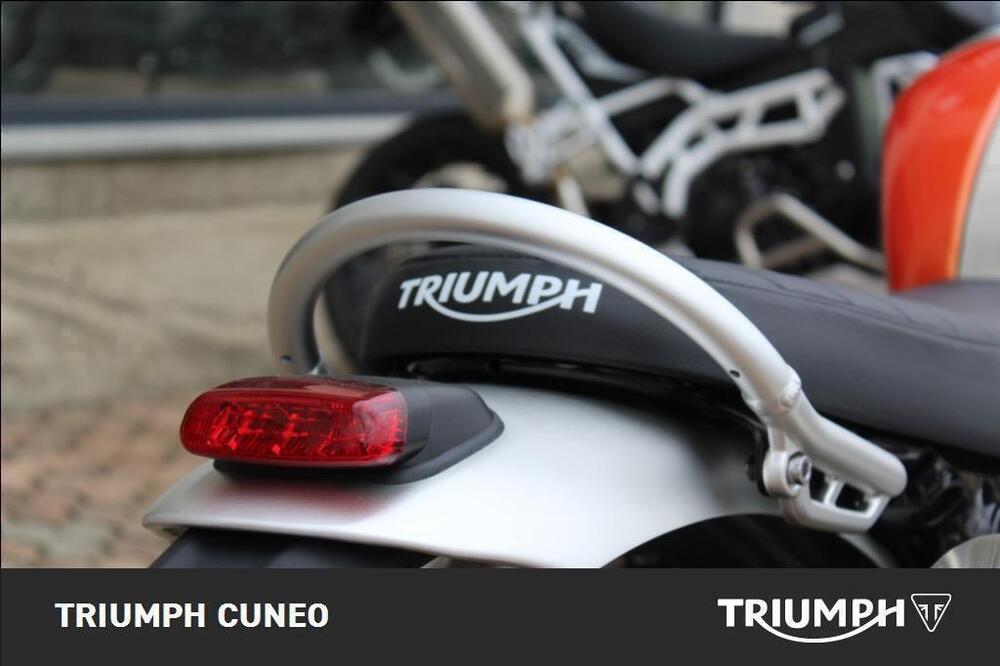 Triumph Scrambler 1200 XE (2024 - 25) (9)