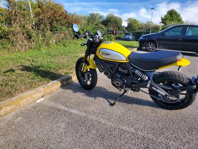 Ducati Scrambler 800 Icon (2017 - 20) usata