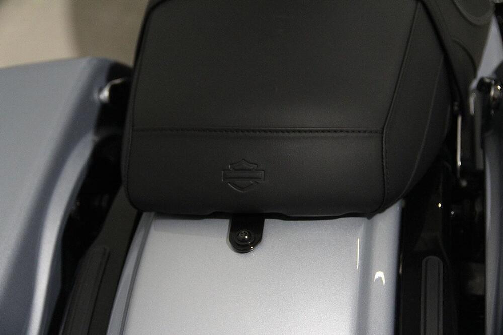 Harley-Davidson Road Glide (2024 - 25) (10)