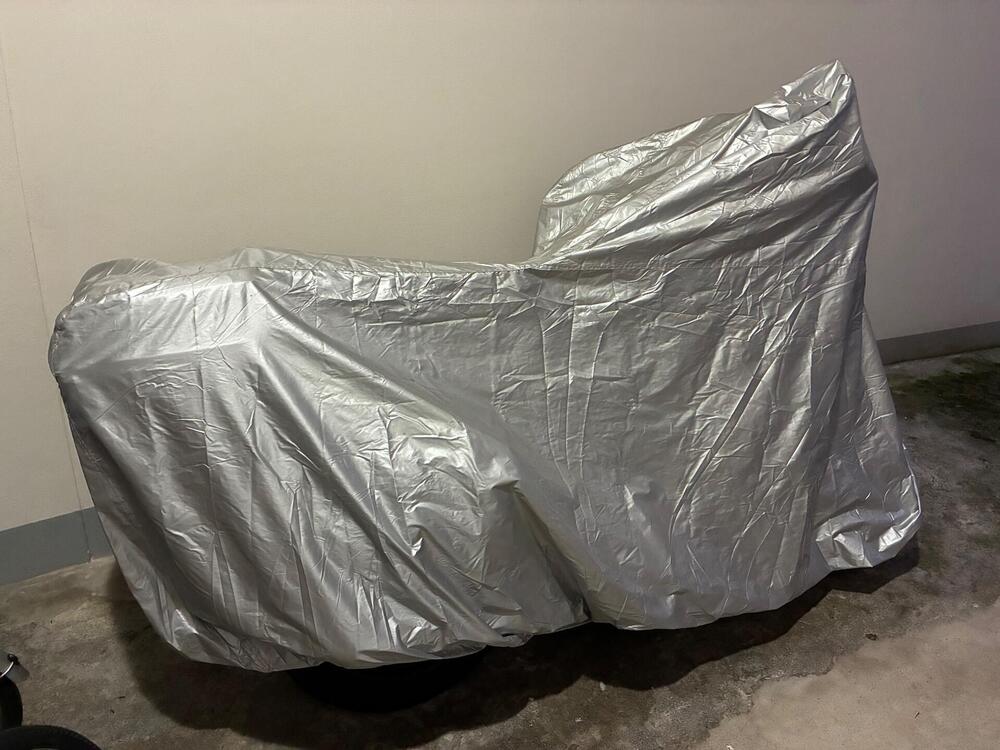 Moto Guzzi V7 III Stone (2017 - 20) (5)