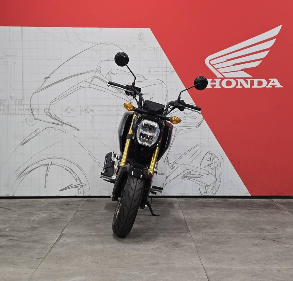 Honda MSX 125 Grom (2021 - 25) (2)
