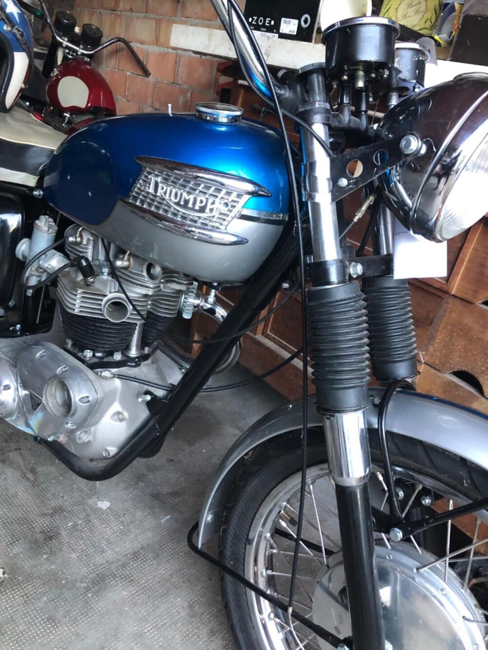 Triumph Bonneville T120 (2)