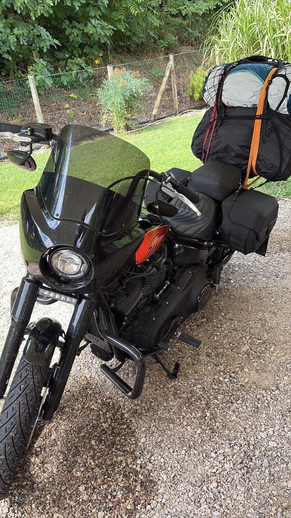 Harley-Davidson Softail Standard (2020) - FXST (2)