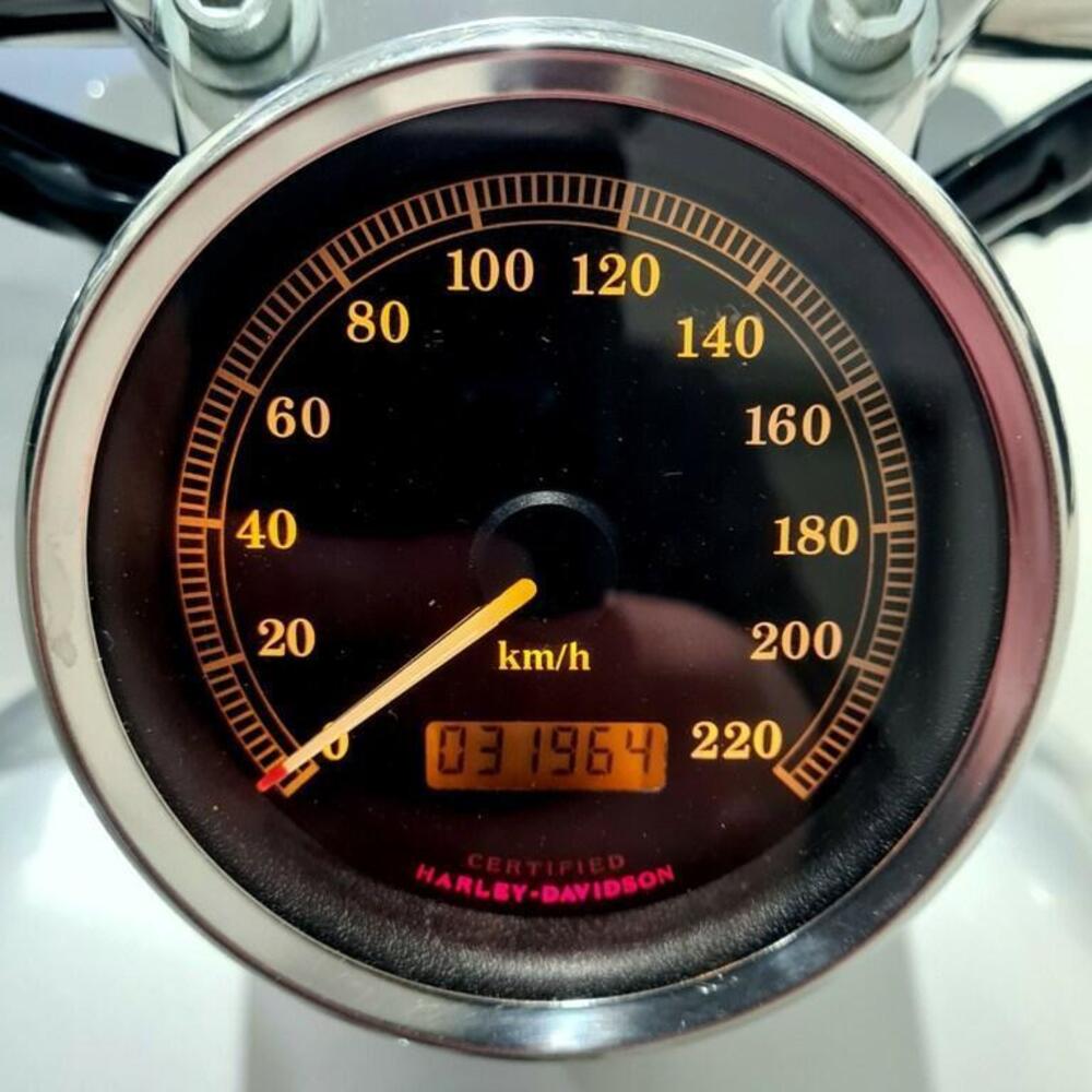 Harley-Davidson 883 Standard (2001 - 05) - XL 883 (6)