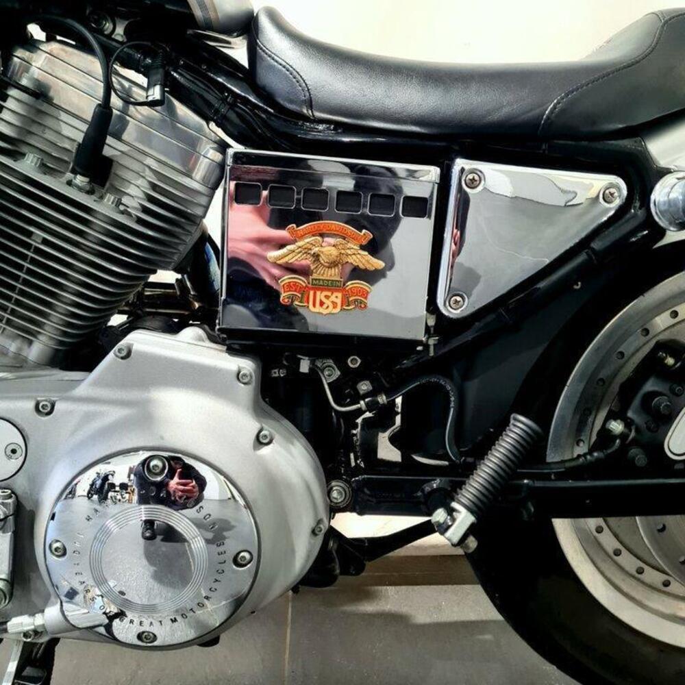 Harley-Davidson 883 Standard (2001 - 05) - XL 883 (14)