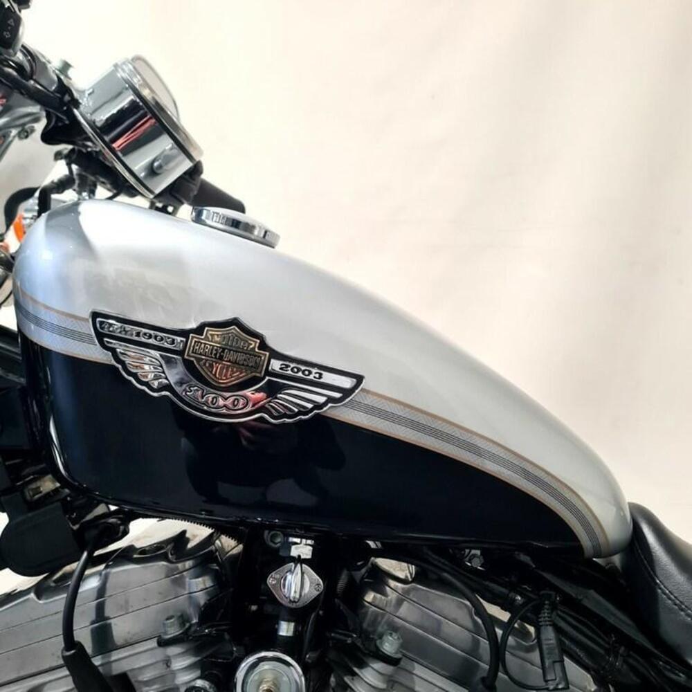 Harley-Davidson 883 Standard (2001 - 05) - XL 883 (12)