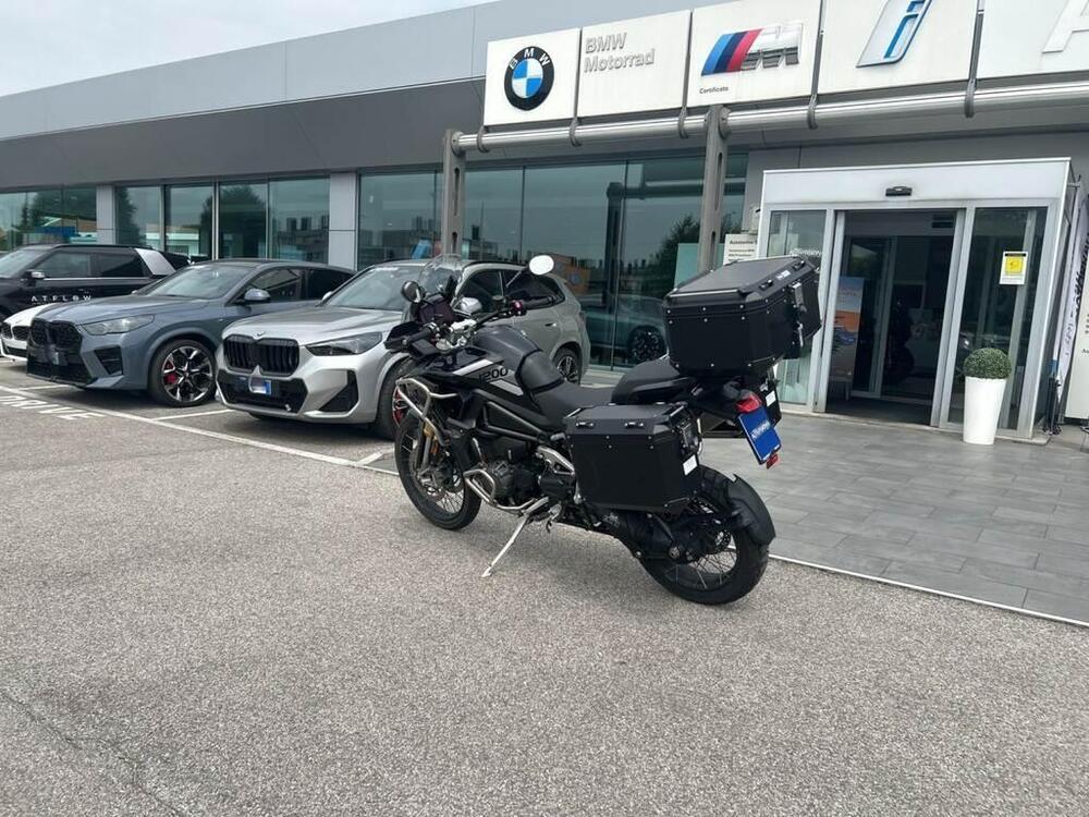 Triumph Tiger 1200 Rally Pro (2022 - 23) (7)