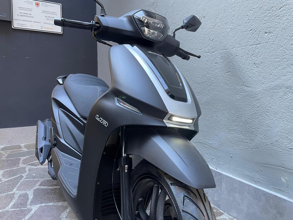 Um Italia Wynwood 125 (2025) (5)