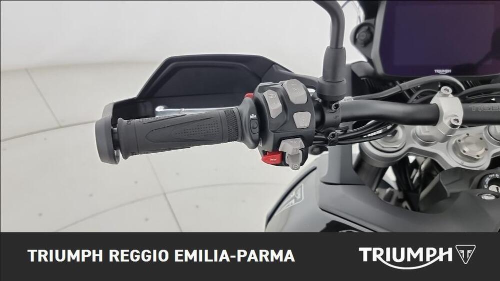 Triumph Tiger 900 GT Pro (2024 - 25) (11)