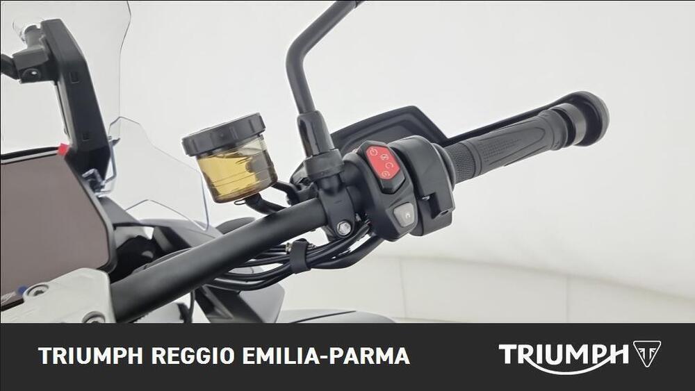 Triumph Tiger 1200 GT Pro (2024 - 25) (10)