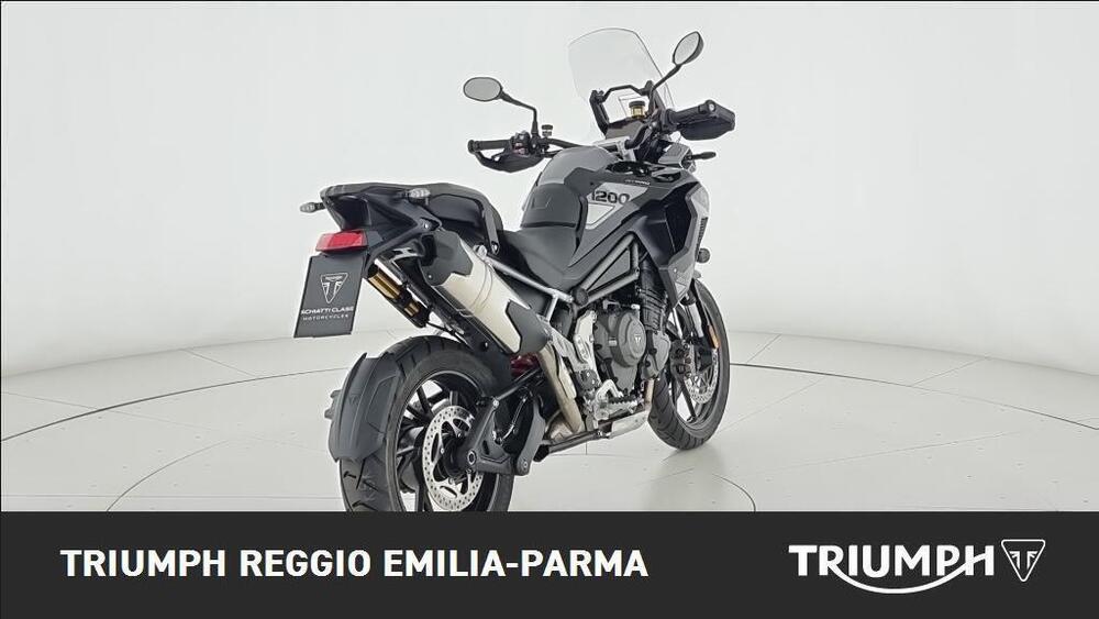Triumph Tiger 1200 GT Pro (2024 - 25) (8)