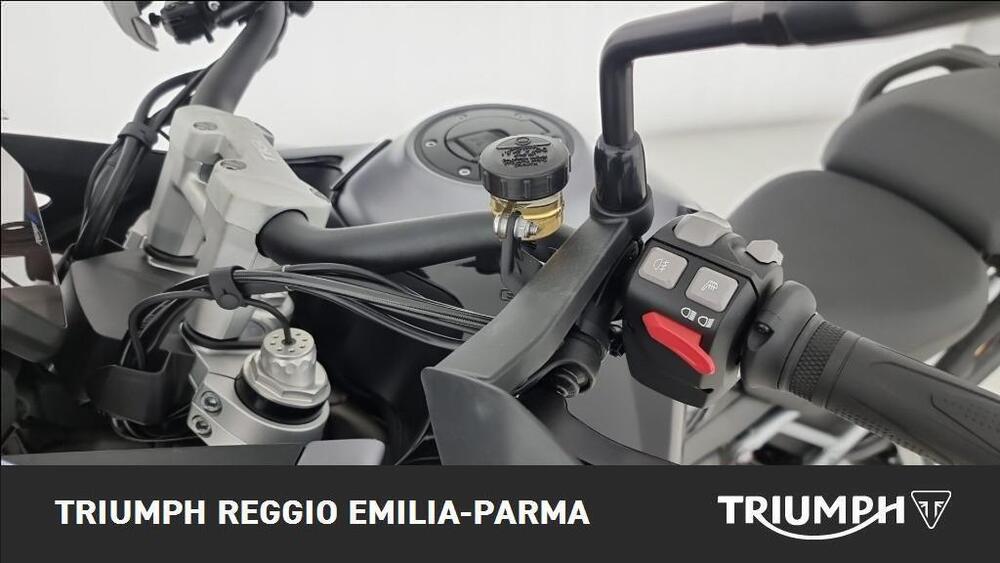 Triumph Tiger 1200 GT Pro (2024 - 25) (12)