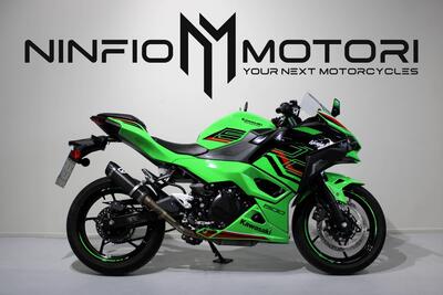 Kawasaki Ninja 500 (2024 - 26) usata