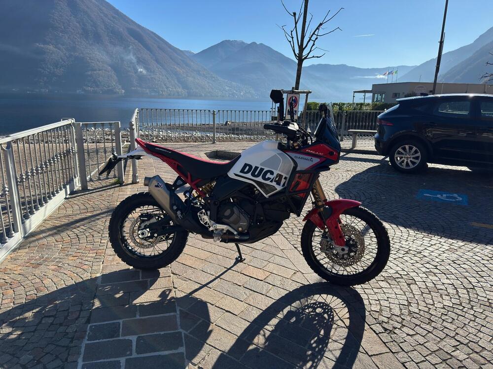 Ducati DesertX Rally (2024 - 25)