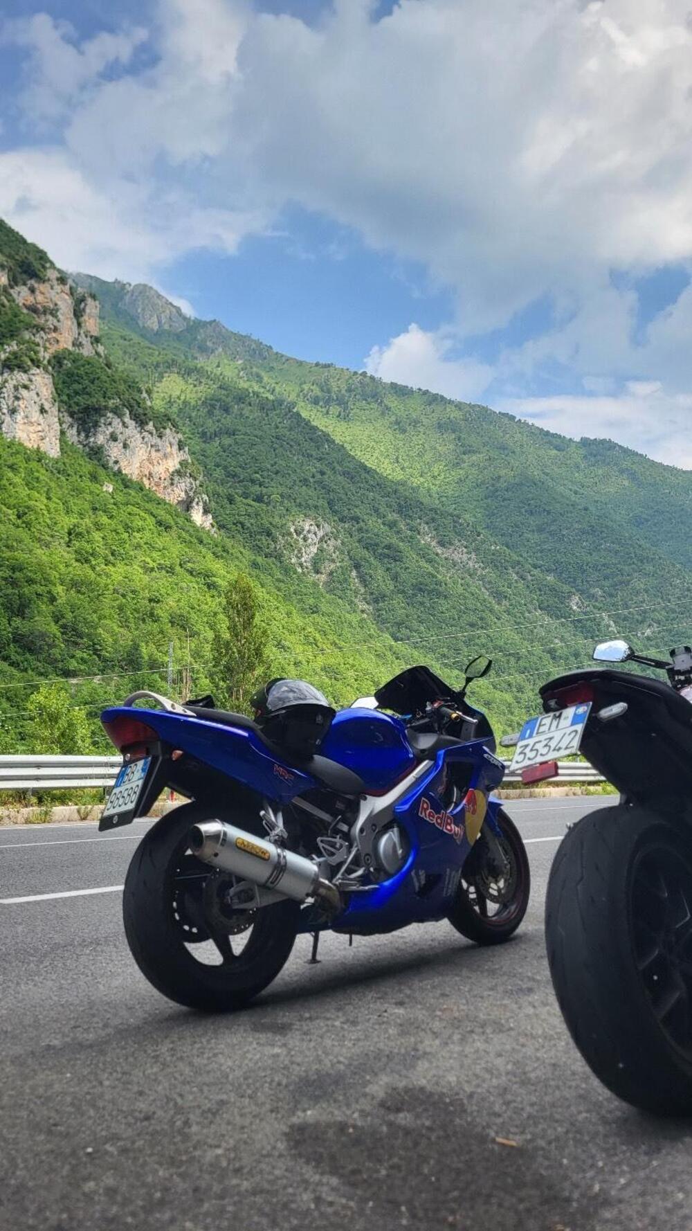 Honda CBR 600 F (2001 - 06) (4)