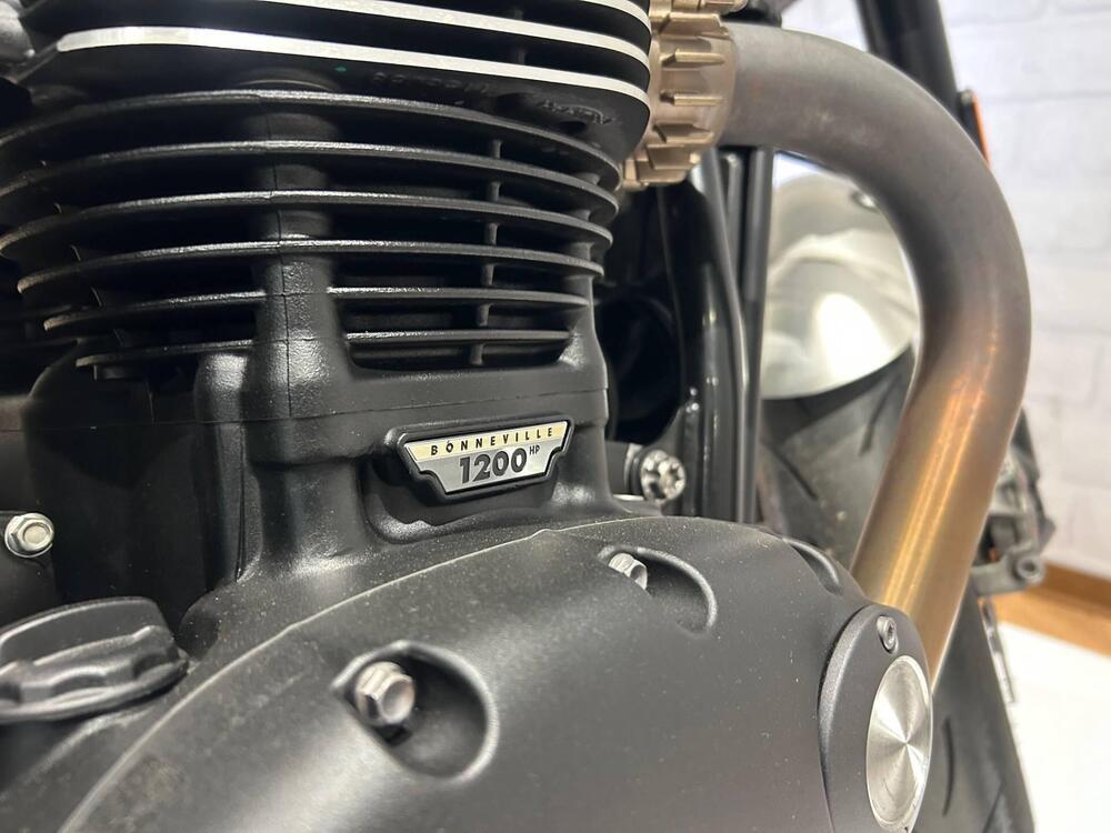 Triumph Speed Twin 1200 (2021 - 24) (13)