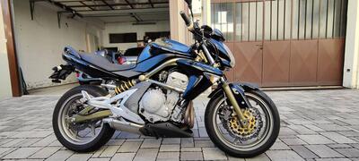 Kawasaki ER-6N (2005 - 08) usata