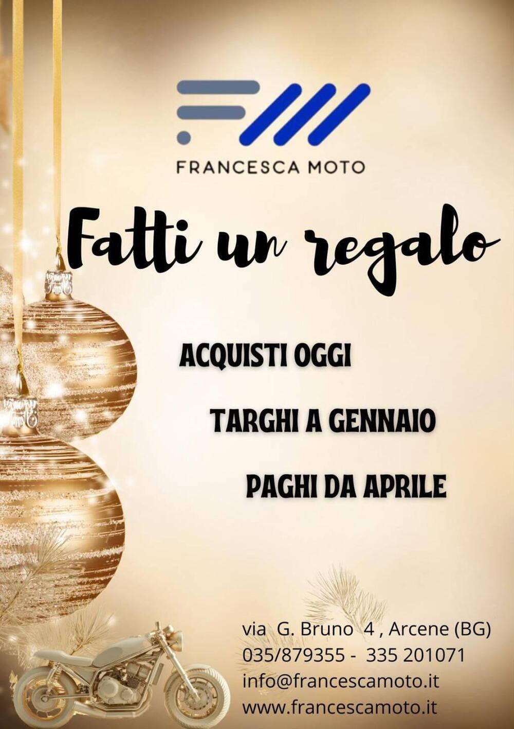 Voge Trofeo 525ACX Scrambler (2023 - 25)