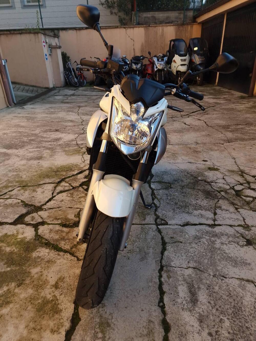 Yamaha XJ6 (2008 - 15) (3)