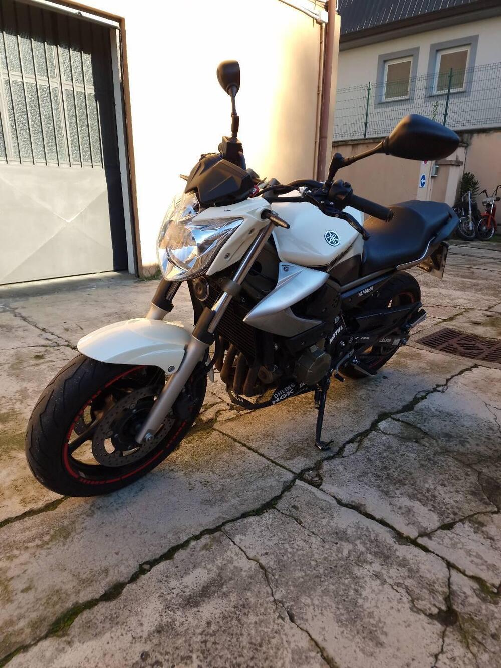 Yamaha XJ6 (2008 - 15) (4)