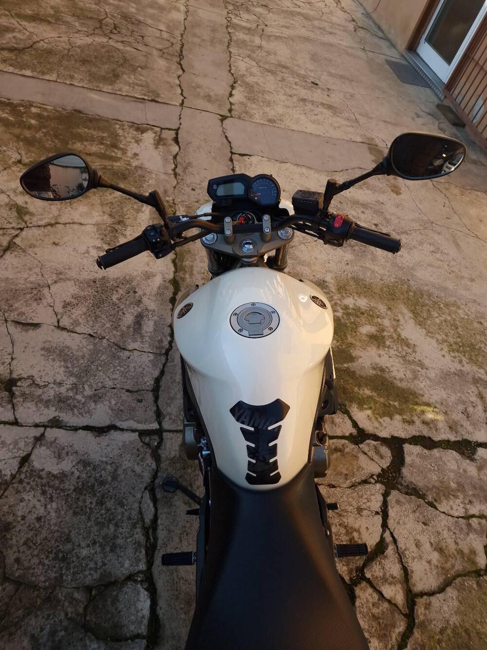 Yamaha XJ6 (2008 - 15) (9)