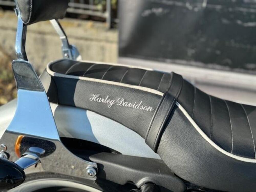 Harley-Davidson 883 Iron (2009 - 11) - XL 883N (4)