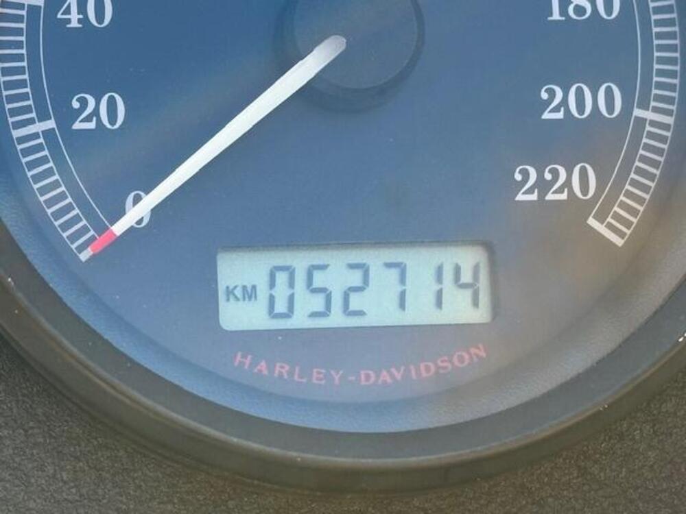 Harley-Davidson 883 Iron (2009 - 11) - XL 883N (8)