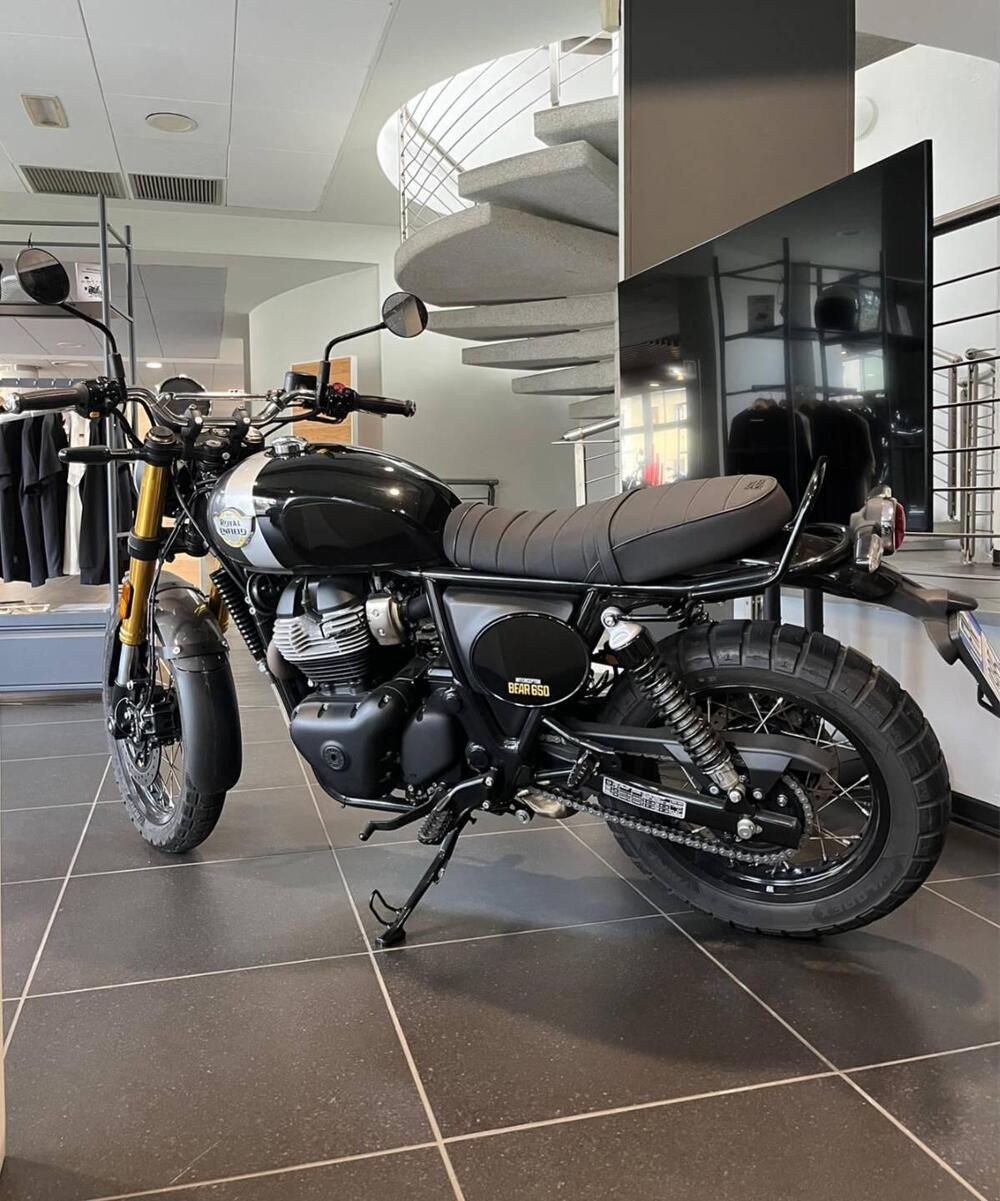 Royal Enfield Bear 650 (2025) (3)