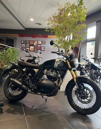 Royal Enfield Bear 650 (2025) usata