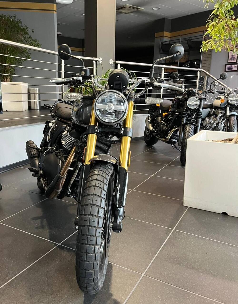 Royal Enfield Bear 650 (2025) (2)