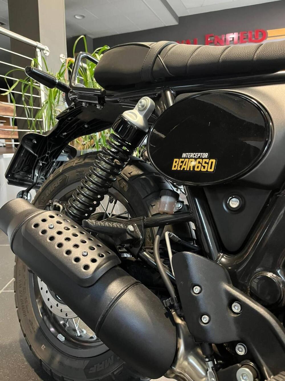 Royal Enfield Bear 650 (2025) (7)