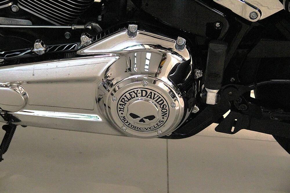 Harley-Davidson Sport Glide (2021 - 25) (14)