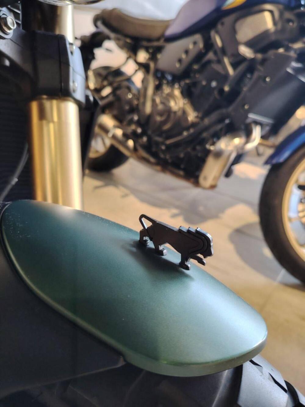 Benelli Leoncino 800 (2022 - 25) (5)