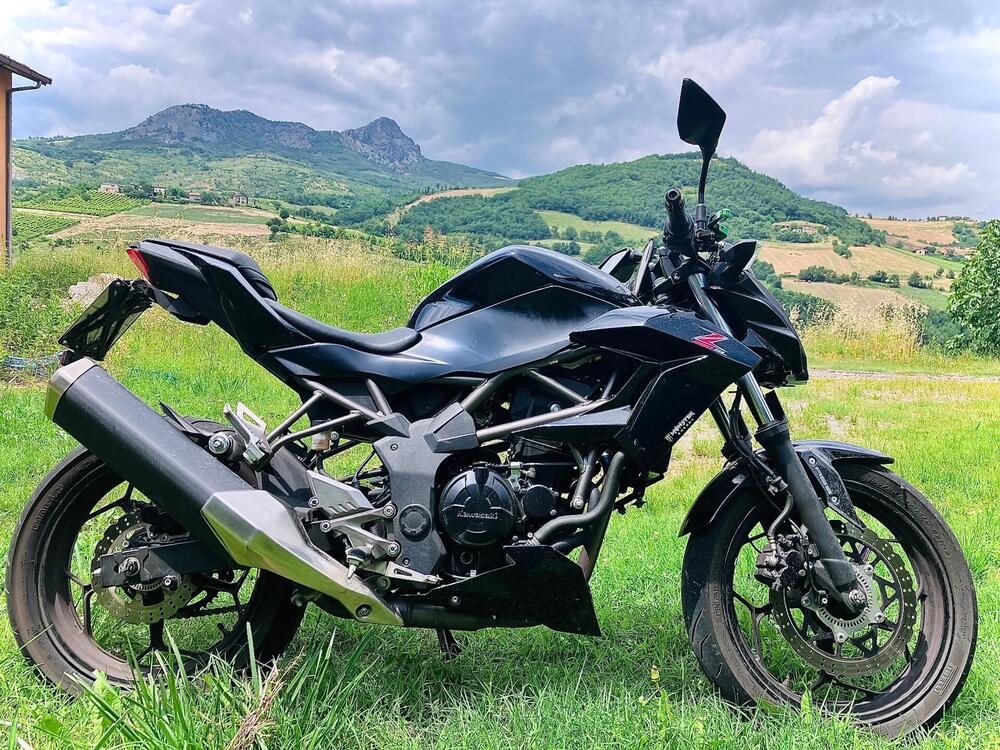 Kawasaki Z 250 SL ABS (2015 - 16)