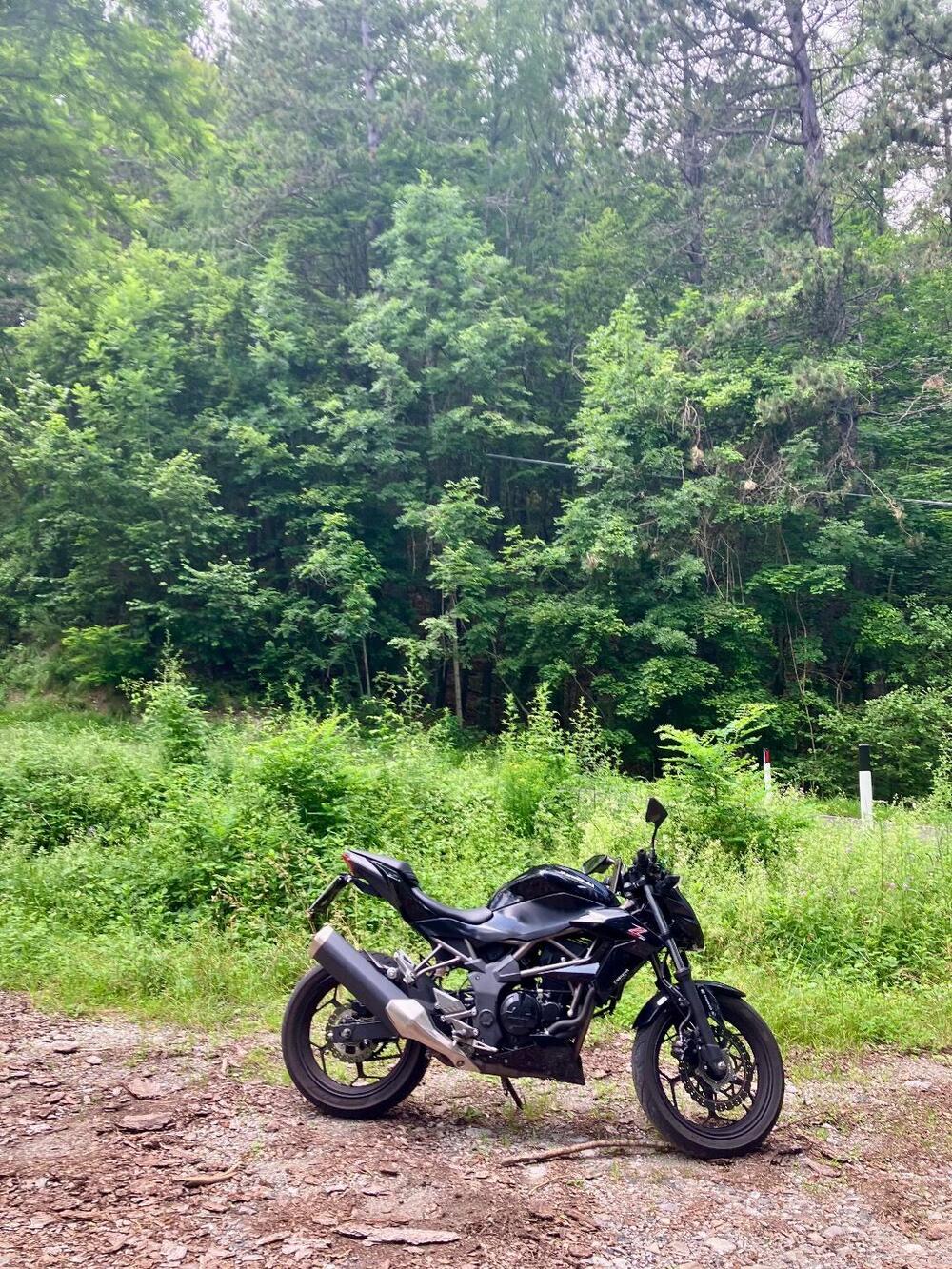 Kawasaki Z 250 SL ABS (2015 - 16) (2)