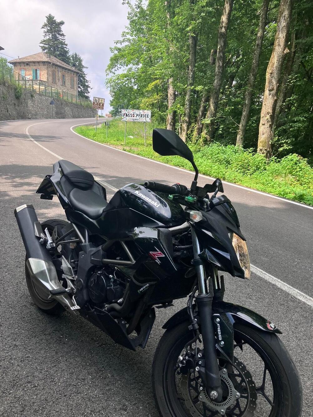 Kawasaki Z 250 SL ABS (2015 - 16) (3)