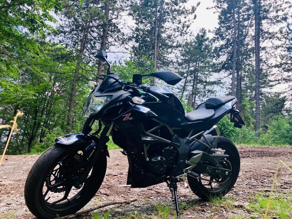 Kawasaki Z 250 SL ABS (2015 - 16) (4)