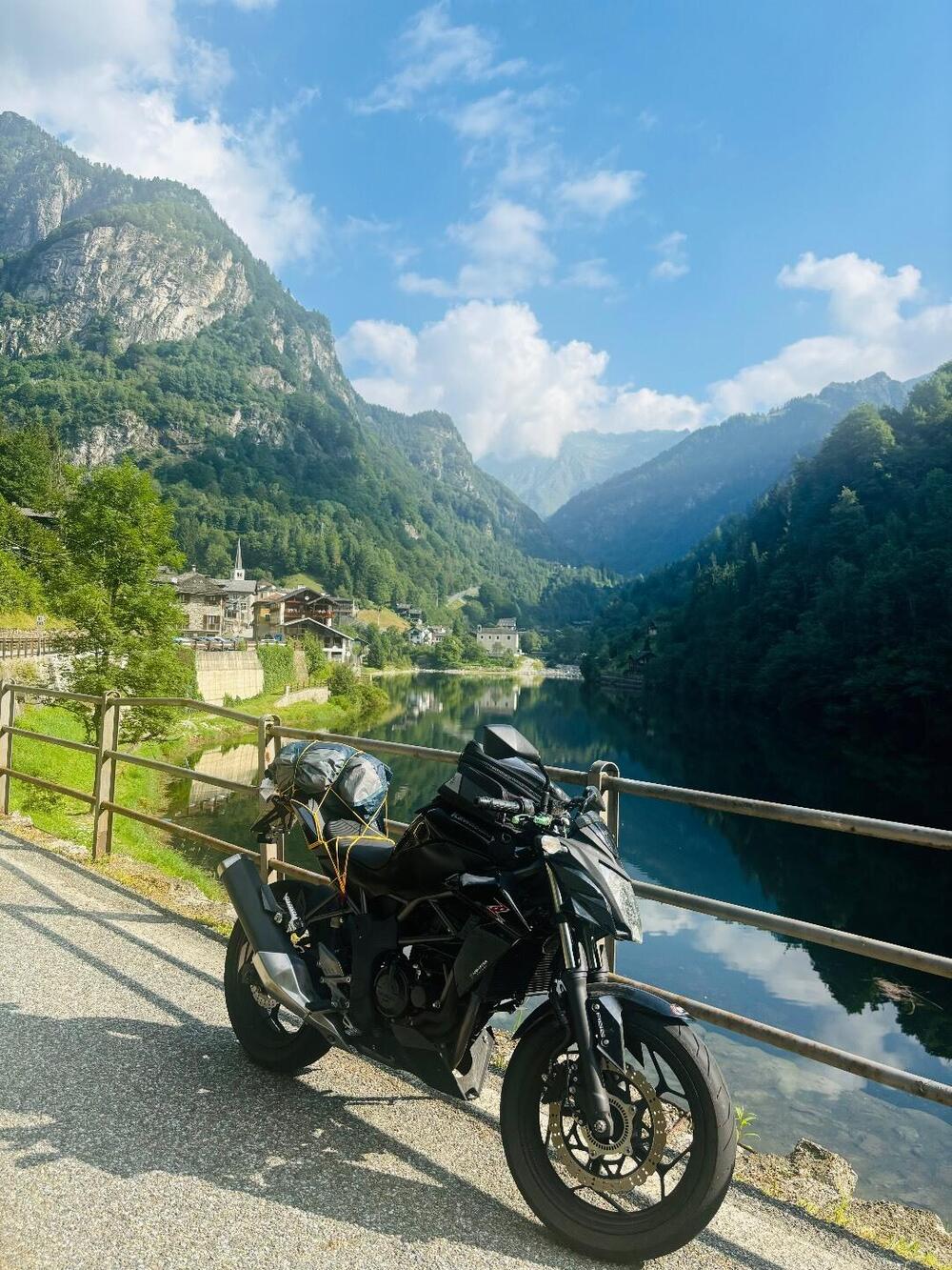 Kawasaki Z 250 SL ABS (2015 - 16) (5)