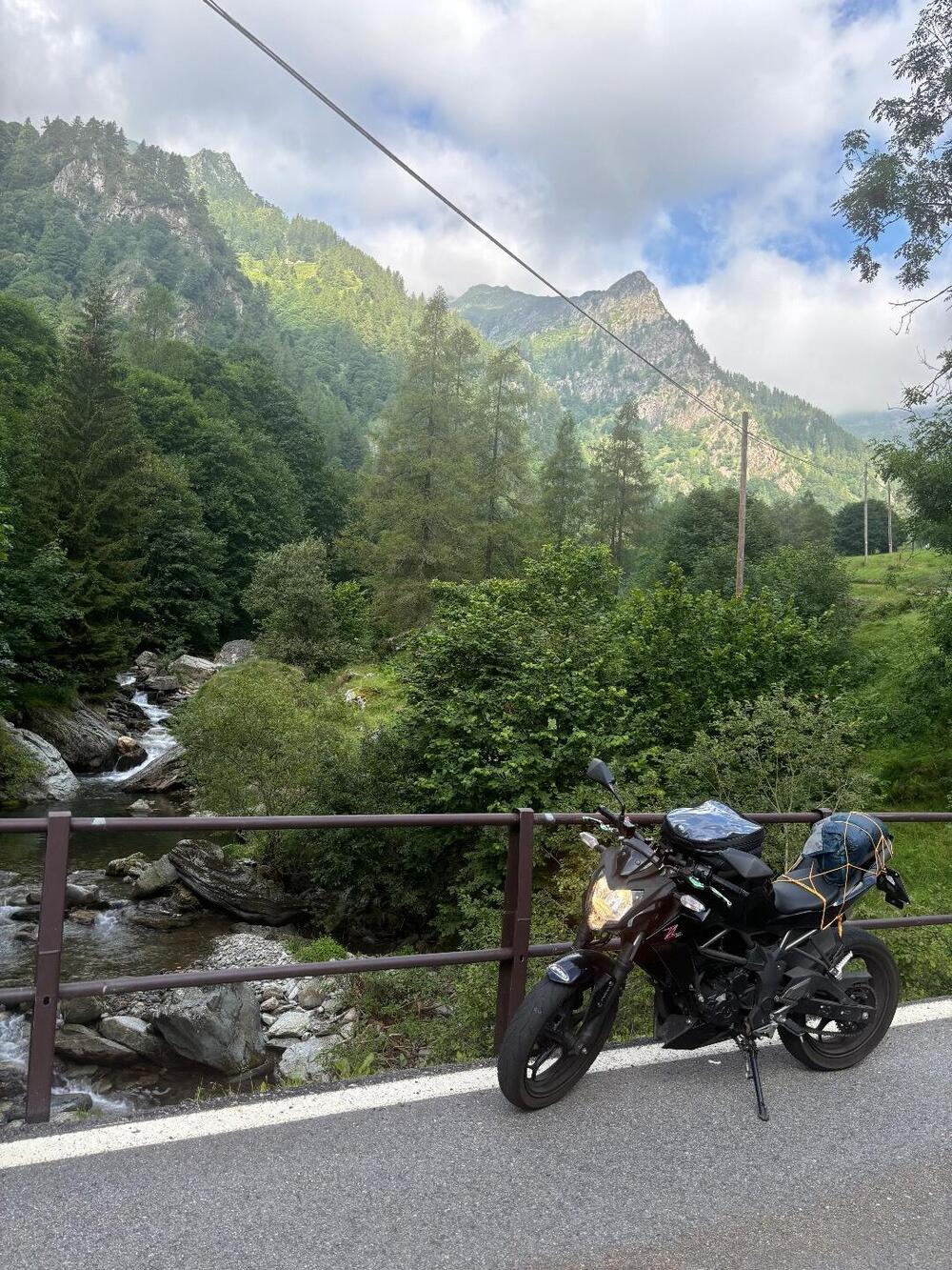 Kawasaki Z 250 SL ABS (2015 - 16) (6)