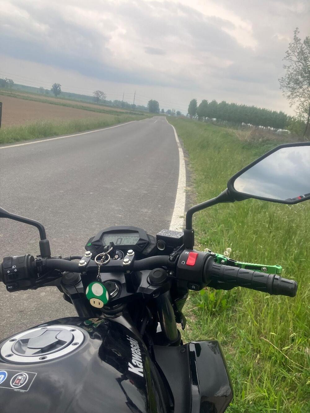 Kawasaki Z 250 SL ABS (2015 - 16) (8)