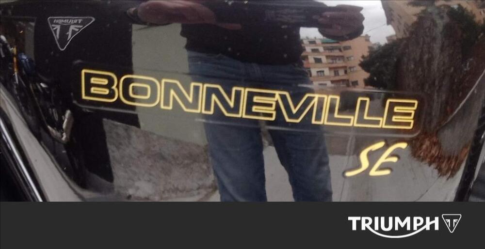 Triumph Bonneville SE (2009 - 13) (5)