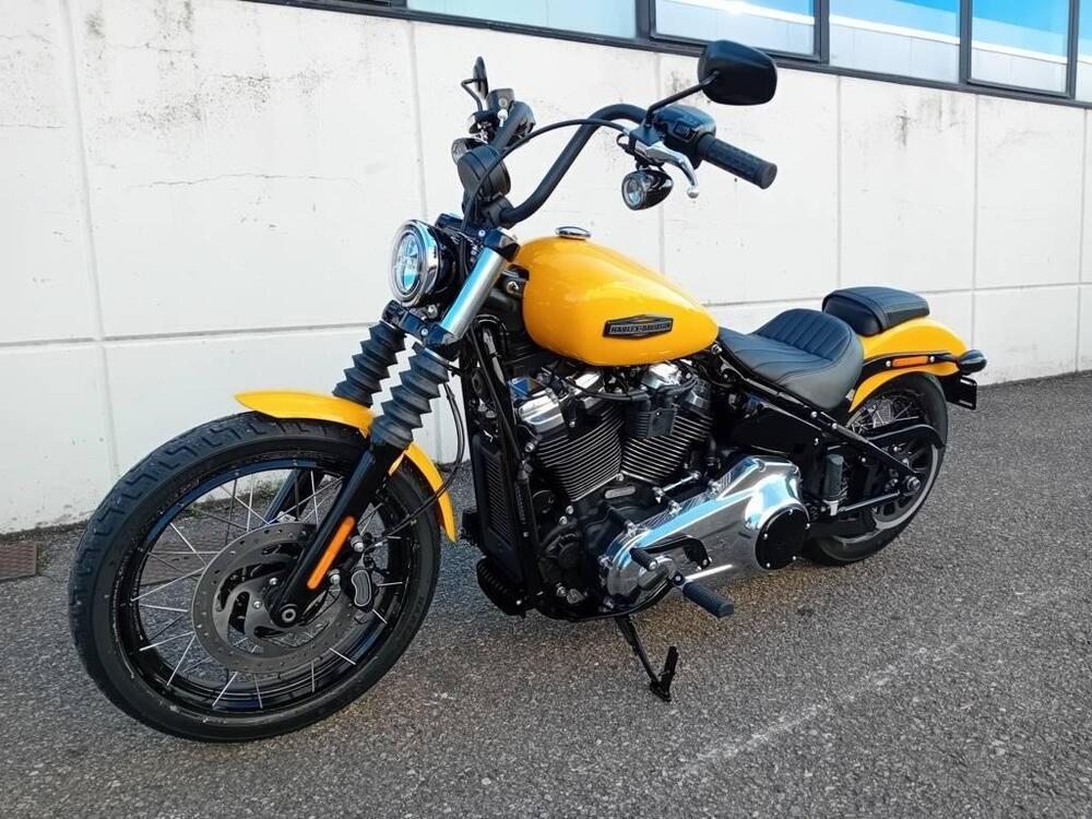 Harley-Davidson Street Bob 117 (2025) (3)