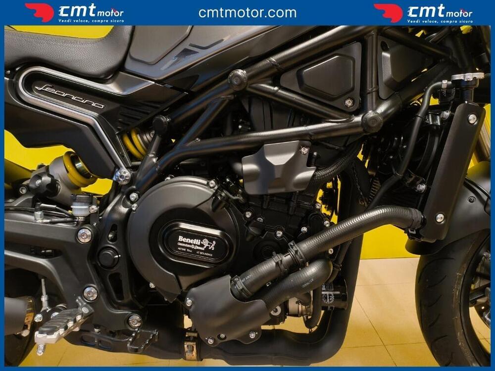 Benelli Leoncino 800 (2022 - 25) (7)