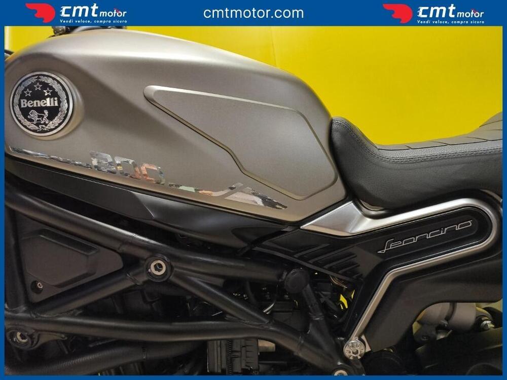 Benelli Leoncino 800 (2022 - 25) (9)