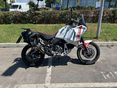 Ducati DesertX (2022 - 25) usata