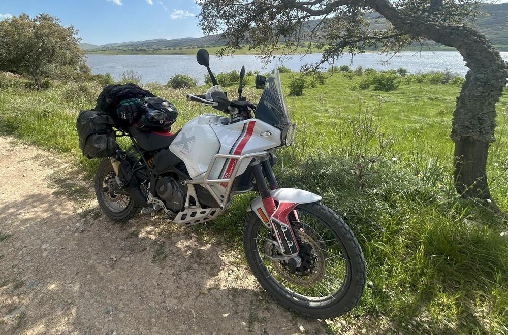 Ducati DesertX (2022 - 25) (7)